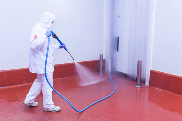 Best Driveway Pressure Washing  in Manchester, IA