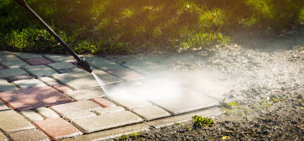 Best Gutter Cleaning  in Manchester, IA